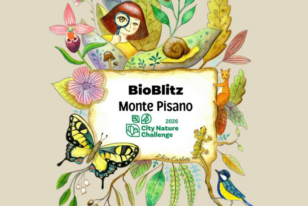 Bioblitz Monte Pisano
